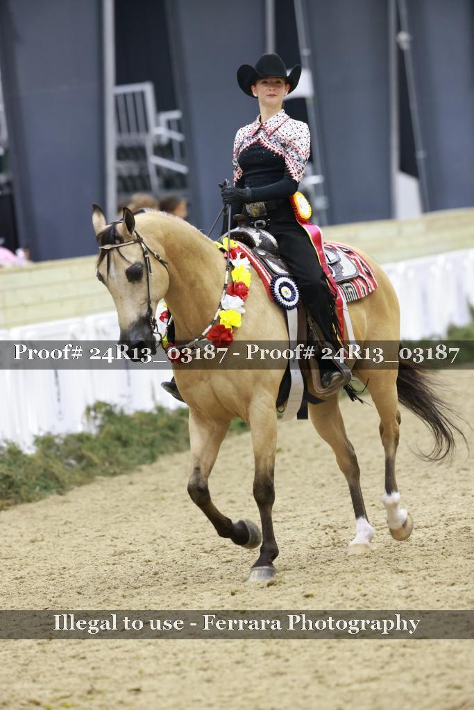 Proof 24R13_03187