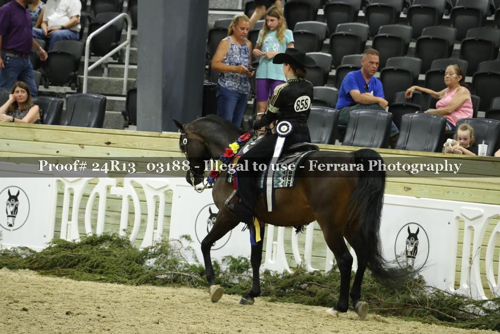 Proof 24R13_03188