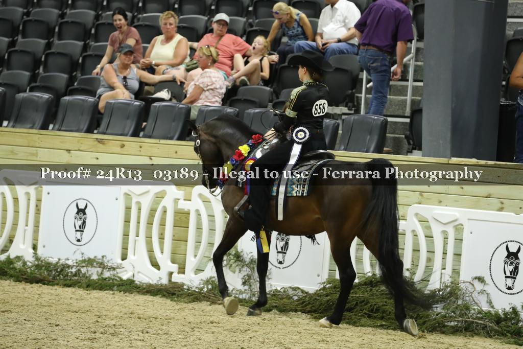 Proof 24R13_03189