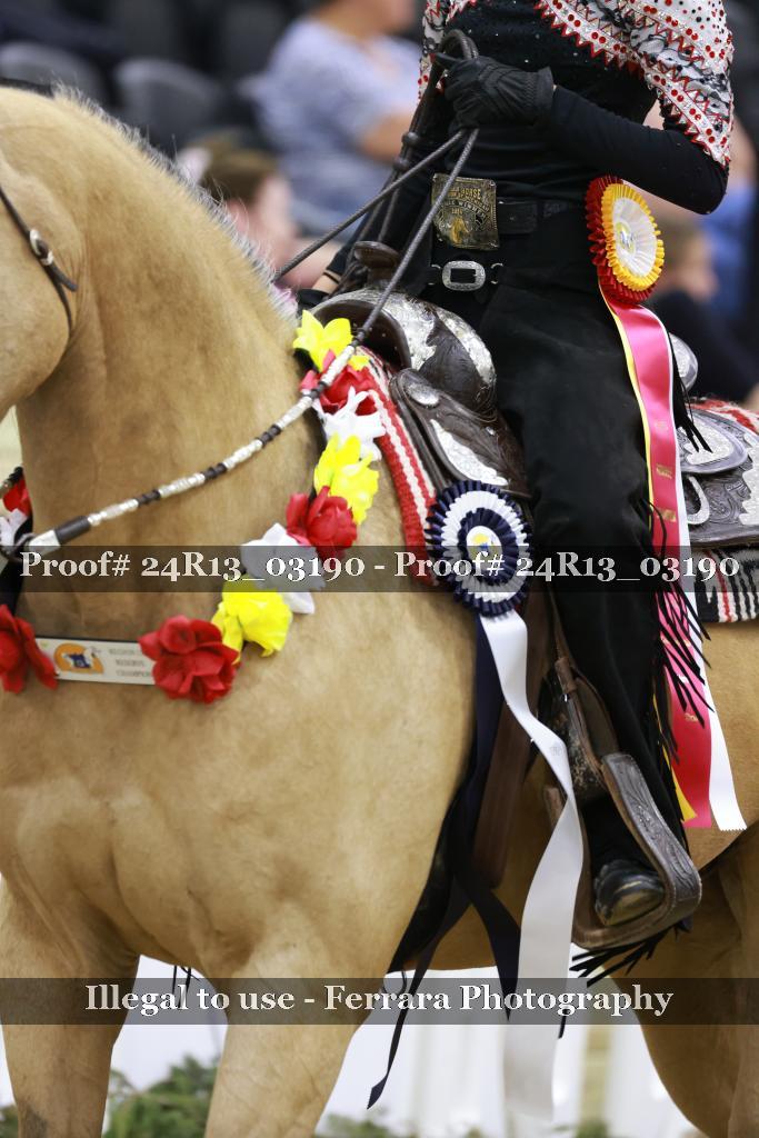 Proof 24R13_03190