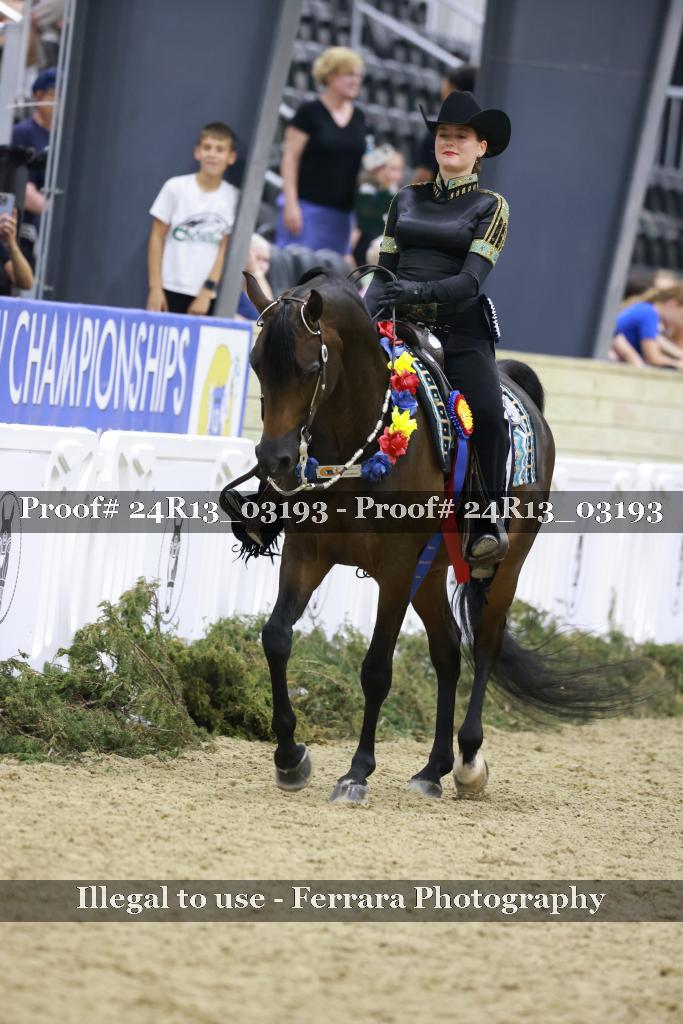 Proof 24R13_03193