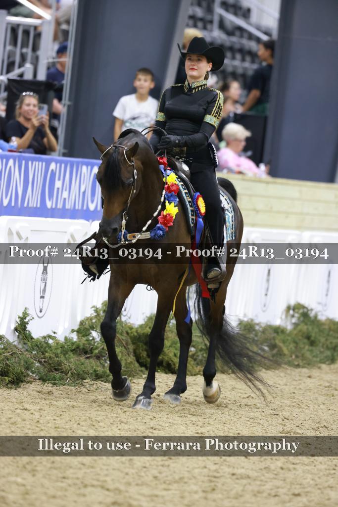 Proof 24R13_03194