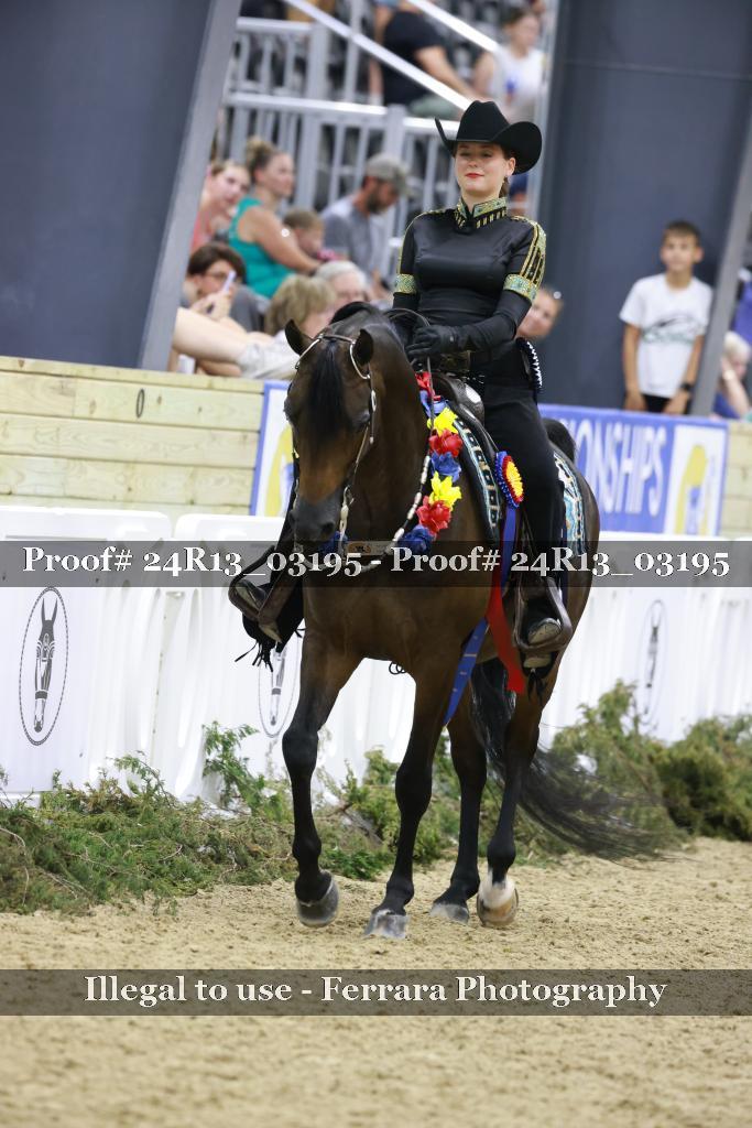 Proof 24R13_03195