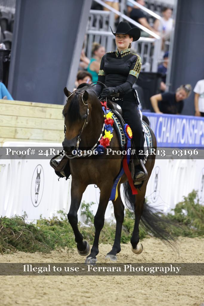 Proof 24R13_03196