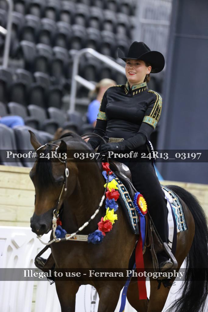 Proof 24R13_03197