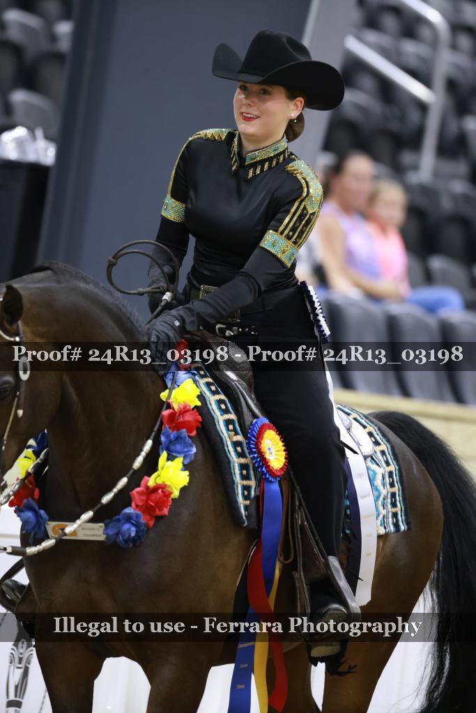 Proof 24R13_03198