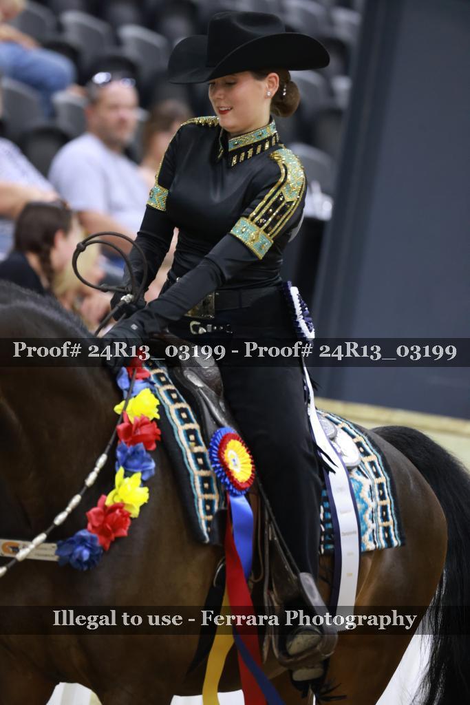 Proof 24R13_03199
