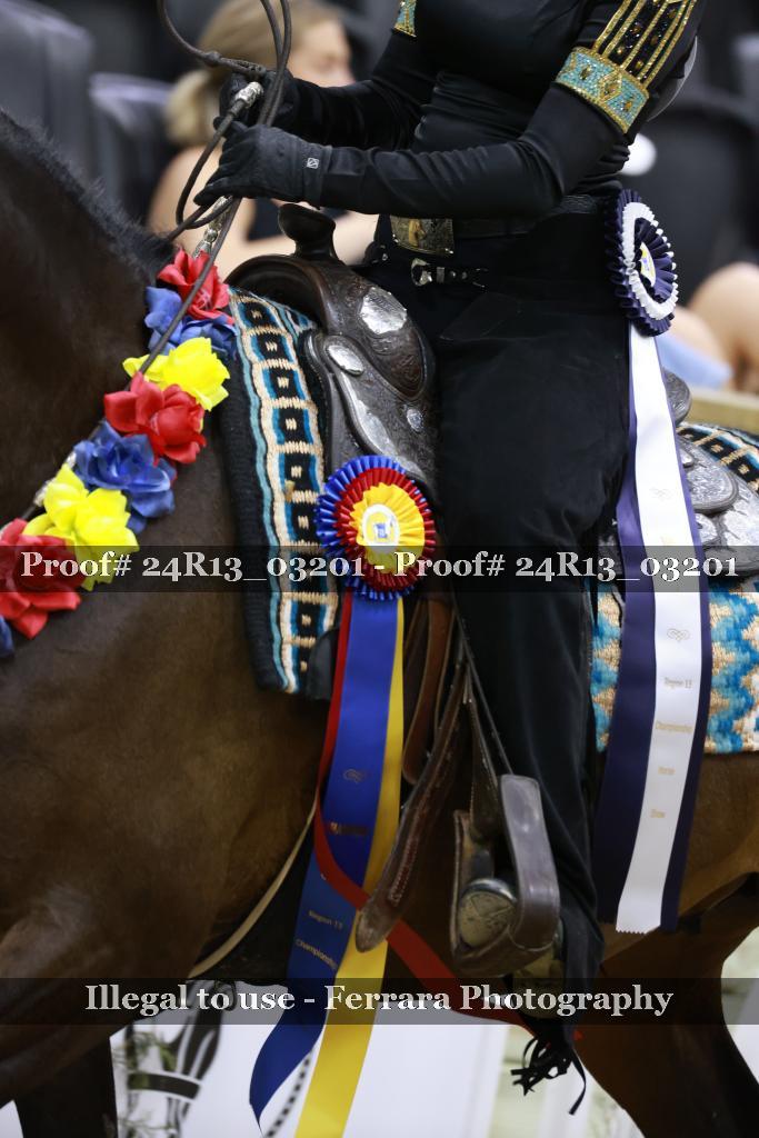 Proof 24R13_03201