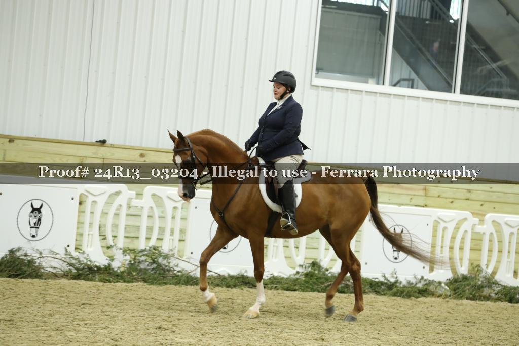 Proof 24R13_03204