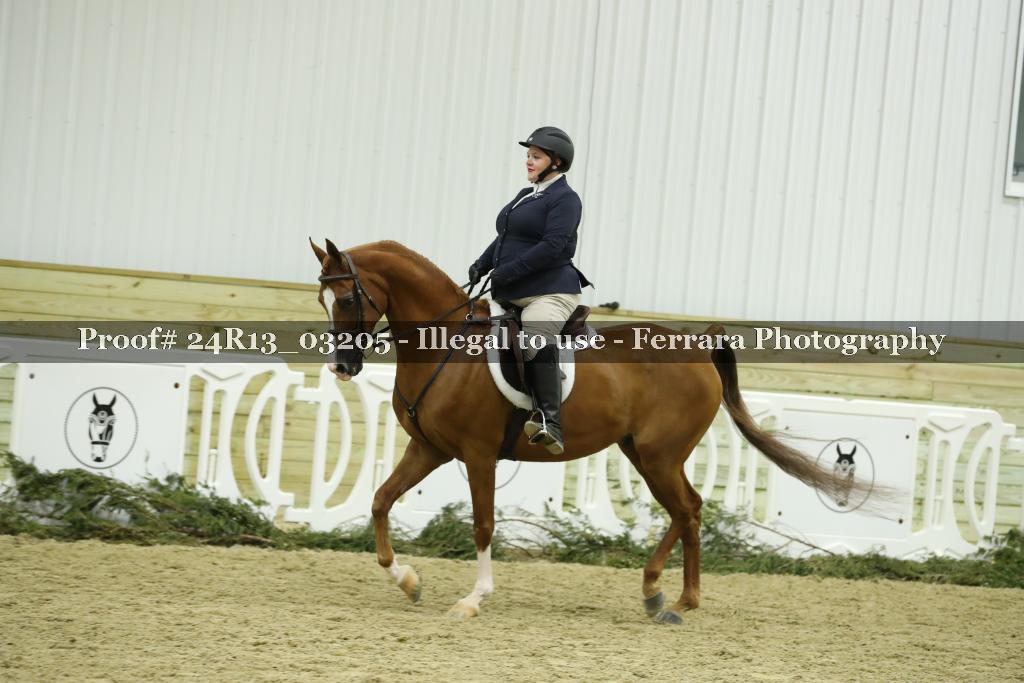 Proof 24R13_03205