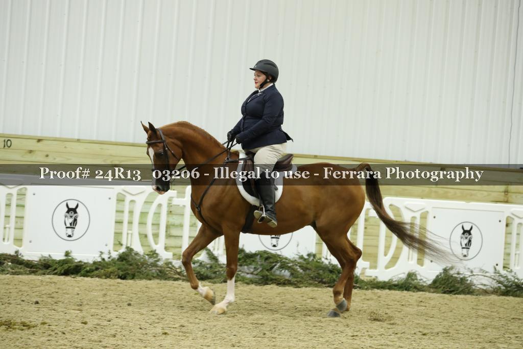 Proof 24R13_03206