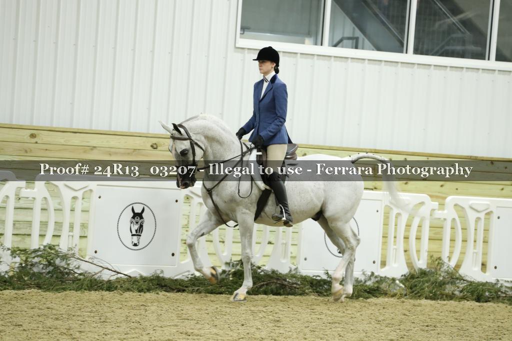Proof 24R13_03207