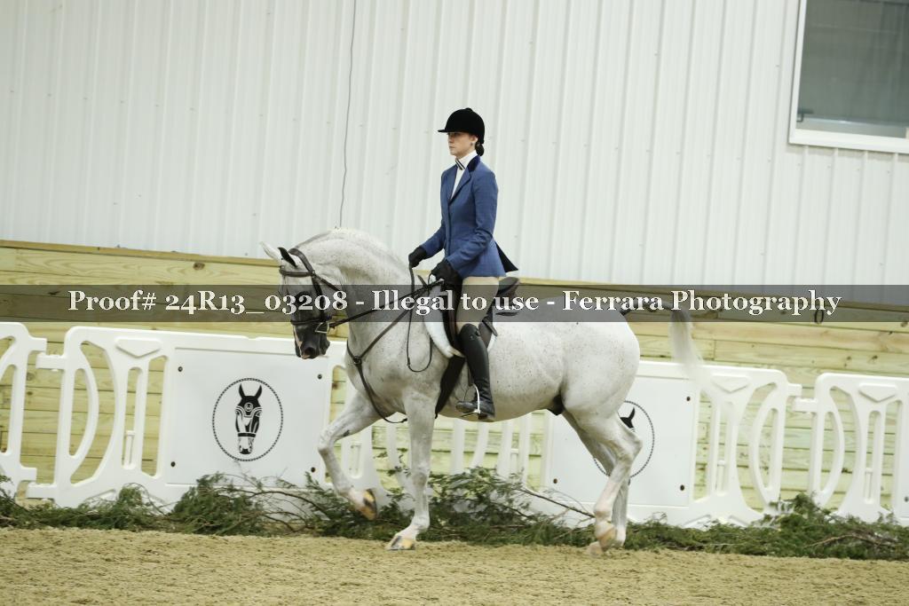 Proof 24R13_03208