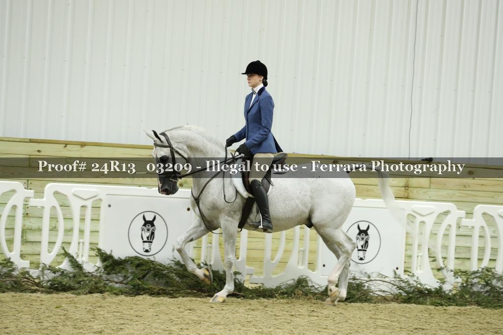 Proof 24R13_03209