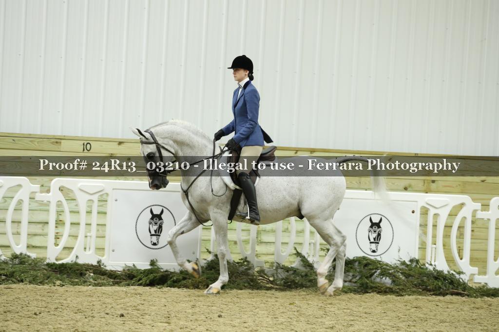 Proof 24R13_03210