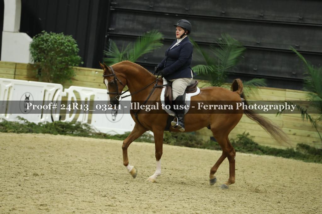 Proof 24R13_03211