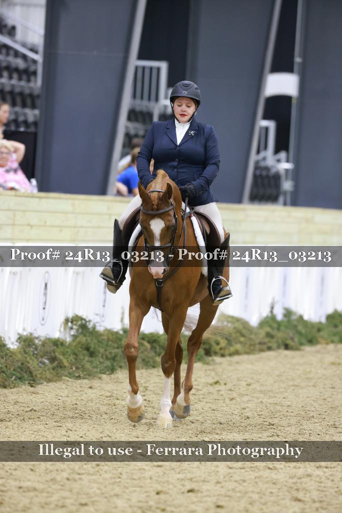 Proof 24R13_03213