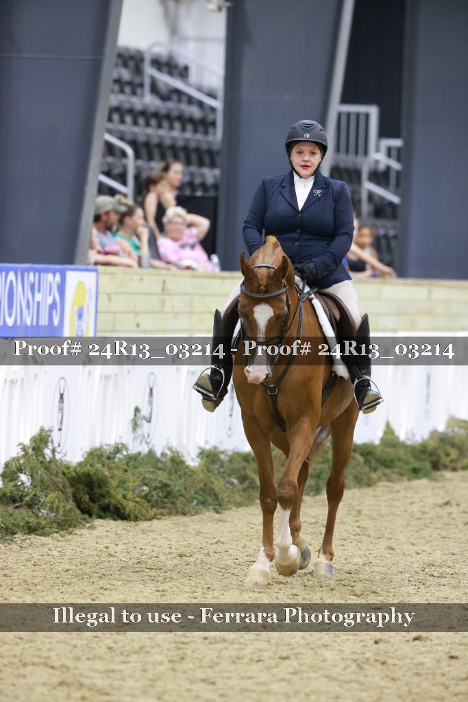 Proof 24R13_03214