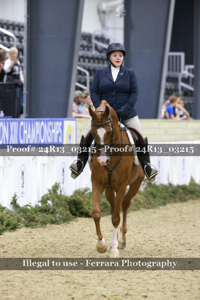 Proof 24R13_03215