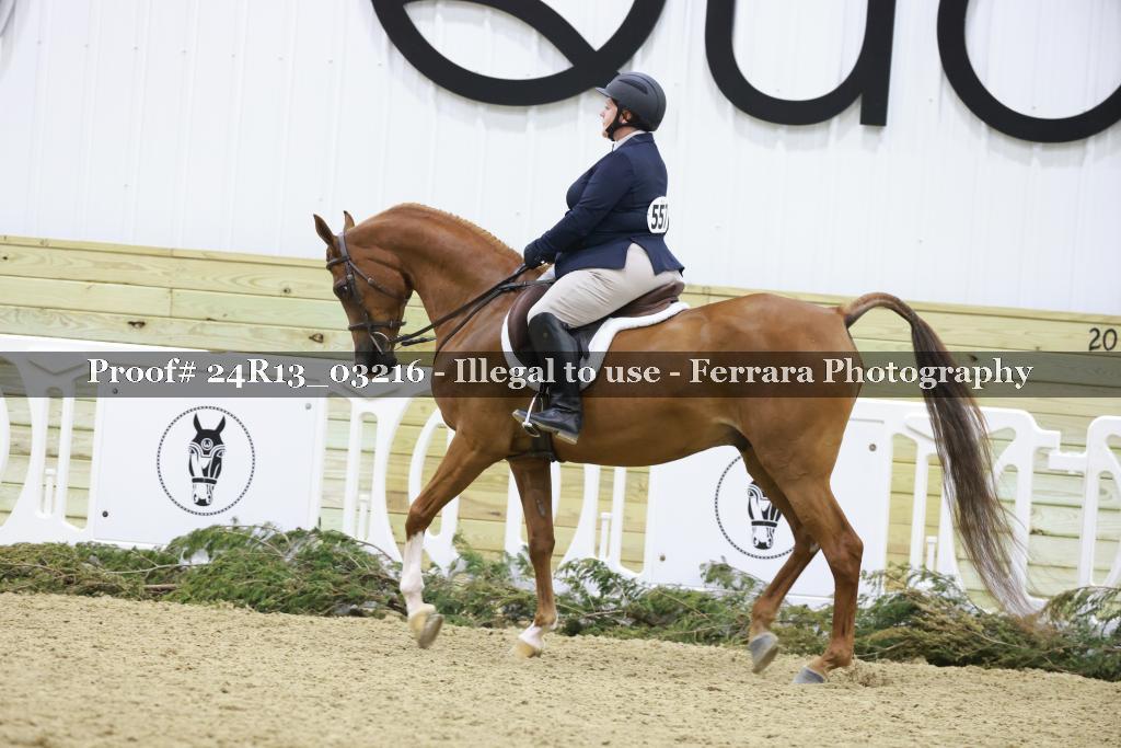 Proof 24R13_03216