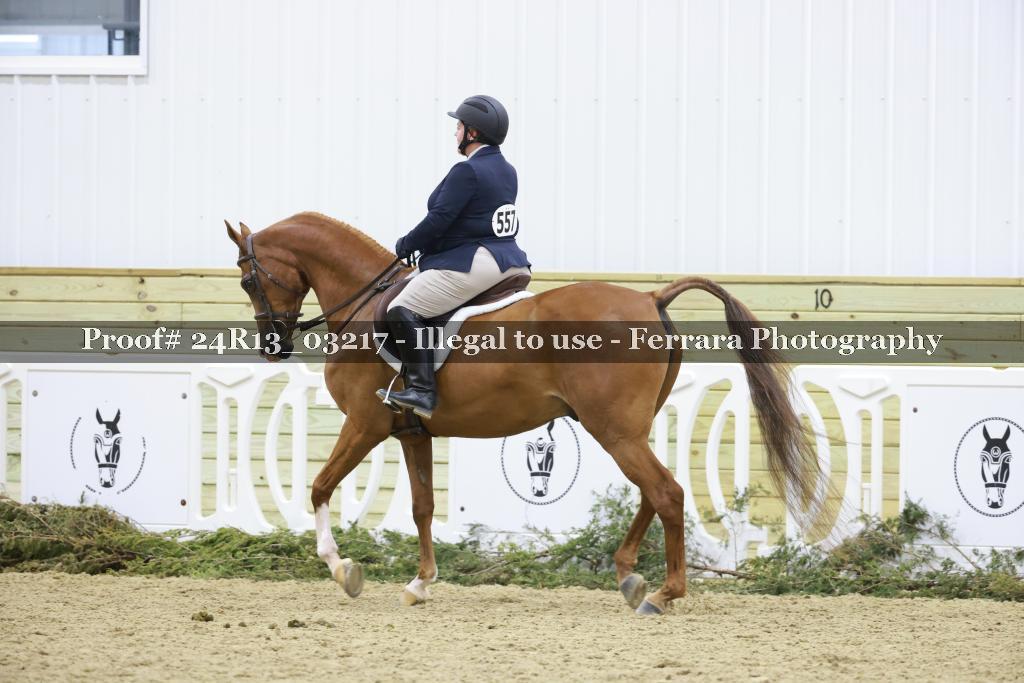 Proof 24R13_03217