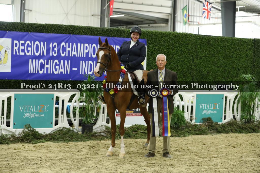 Proof 24R13_03221