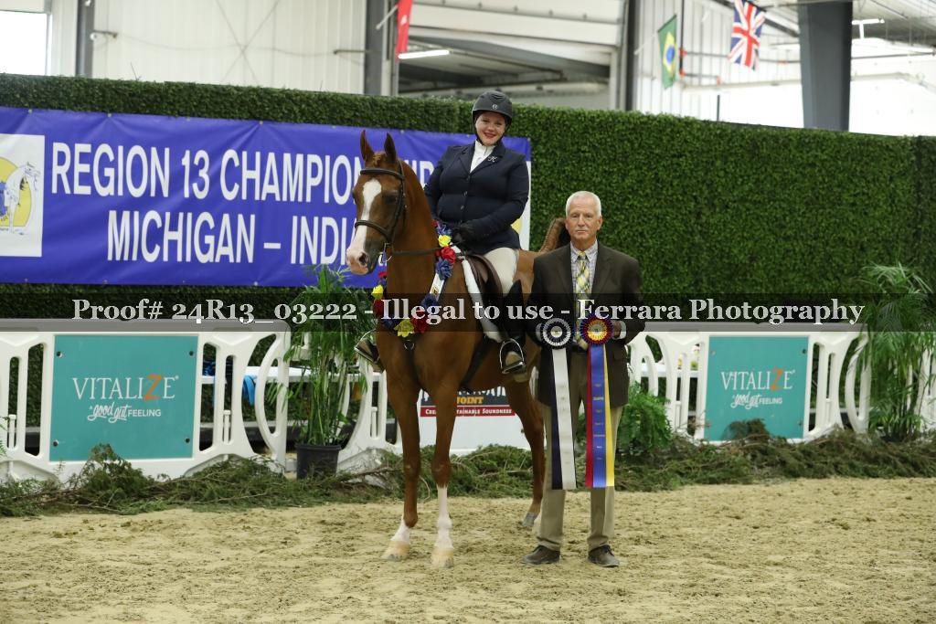 Proof 24R13_03222