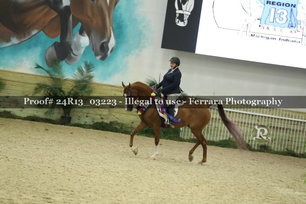 Proof 24R13_03223