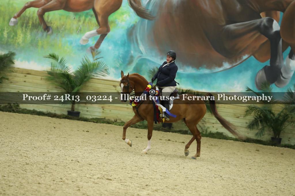 Proof 24R13_03224