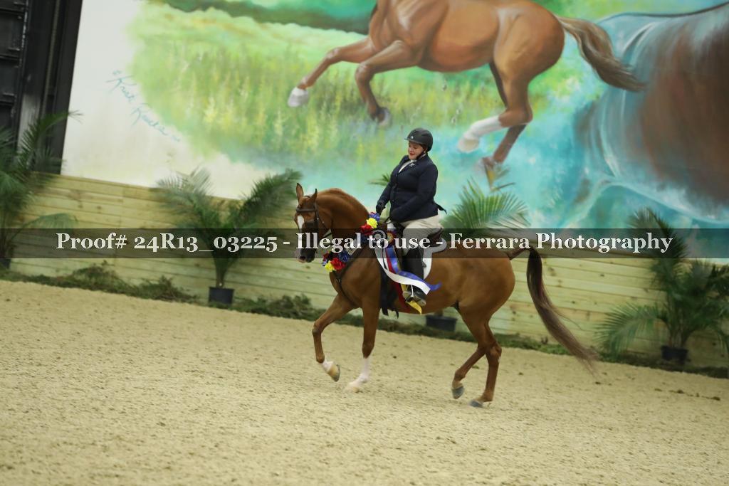 Proof 24R13_03225