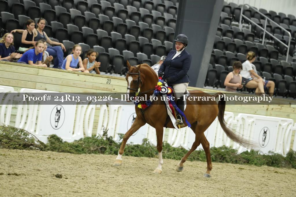 Proof 24R13_03226