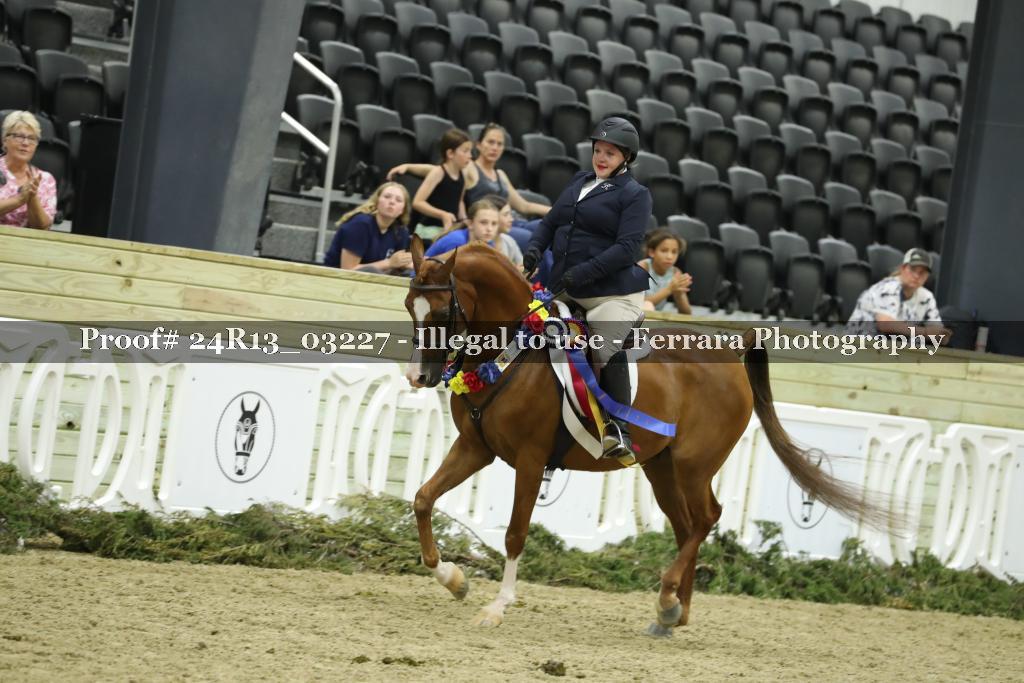 Proof 24R13_03227