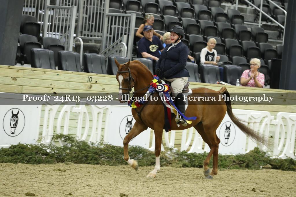 Proof 24R13_03228