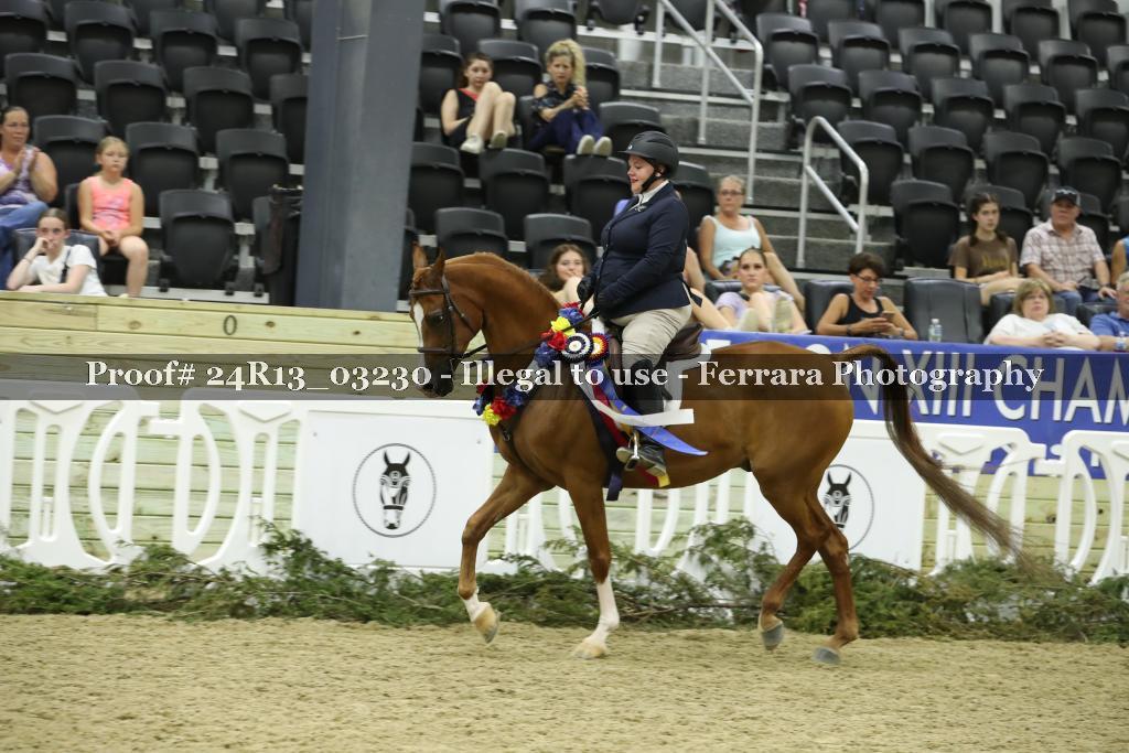 Proof 24R13_03230