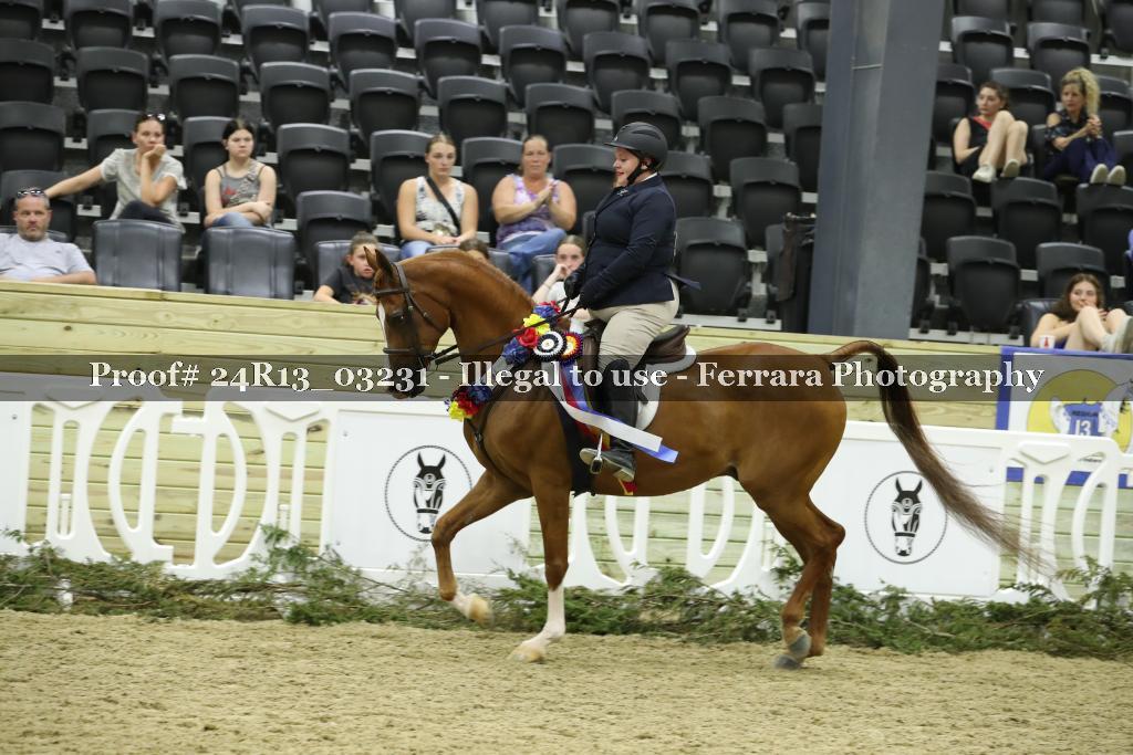 Proof 24R13_03231