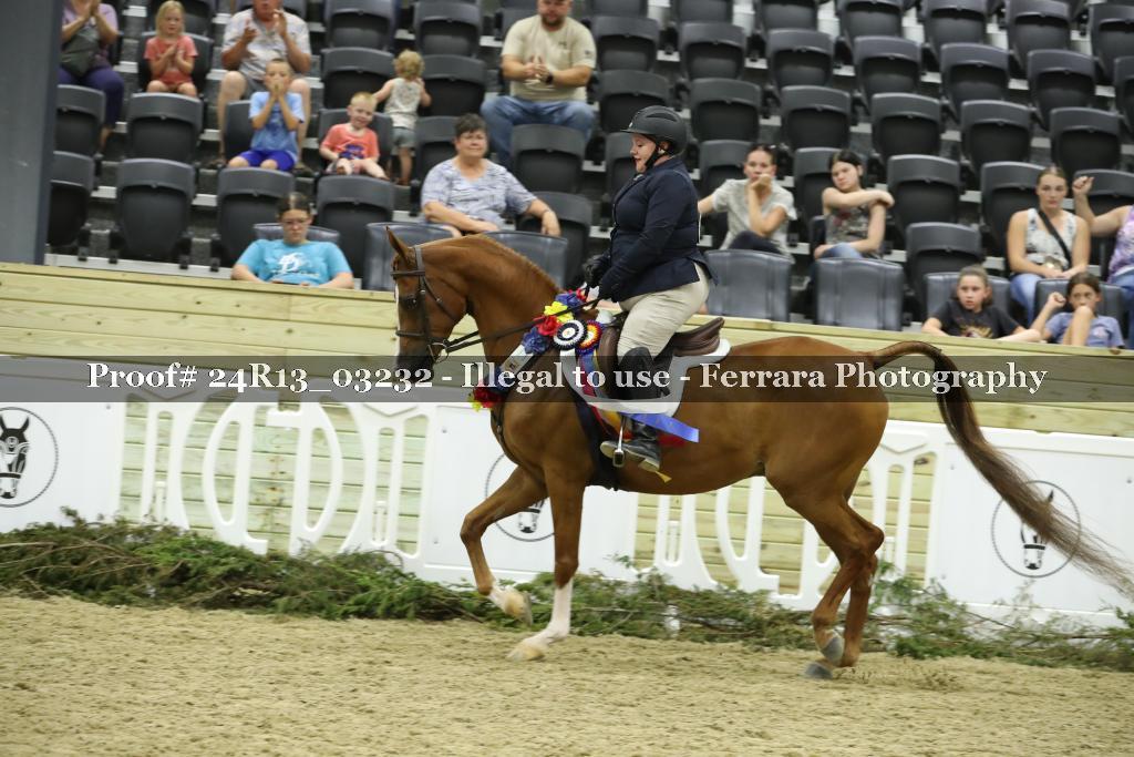 Proof 24R13_03232