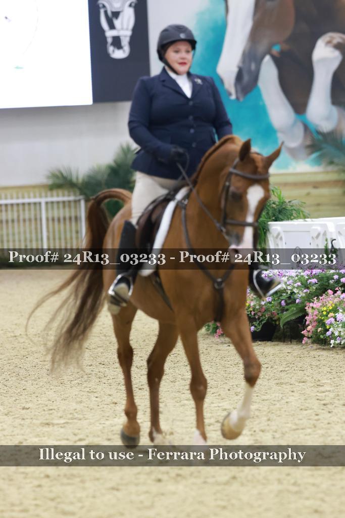Proof 24R13_03233