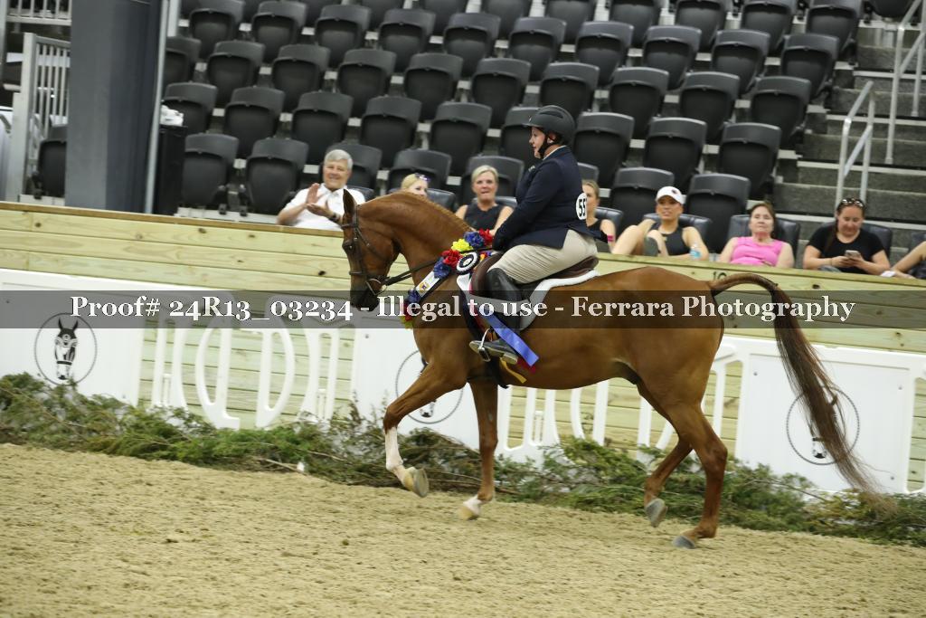 Proof 24R13_03234