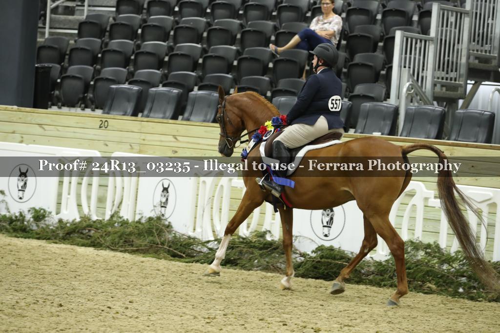 Proof 24R13_03235