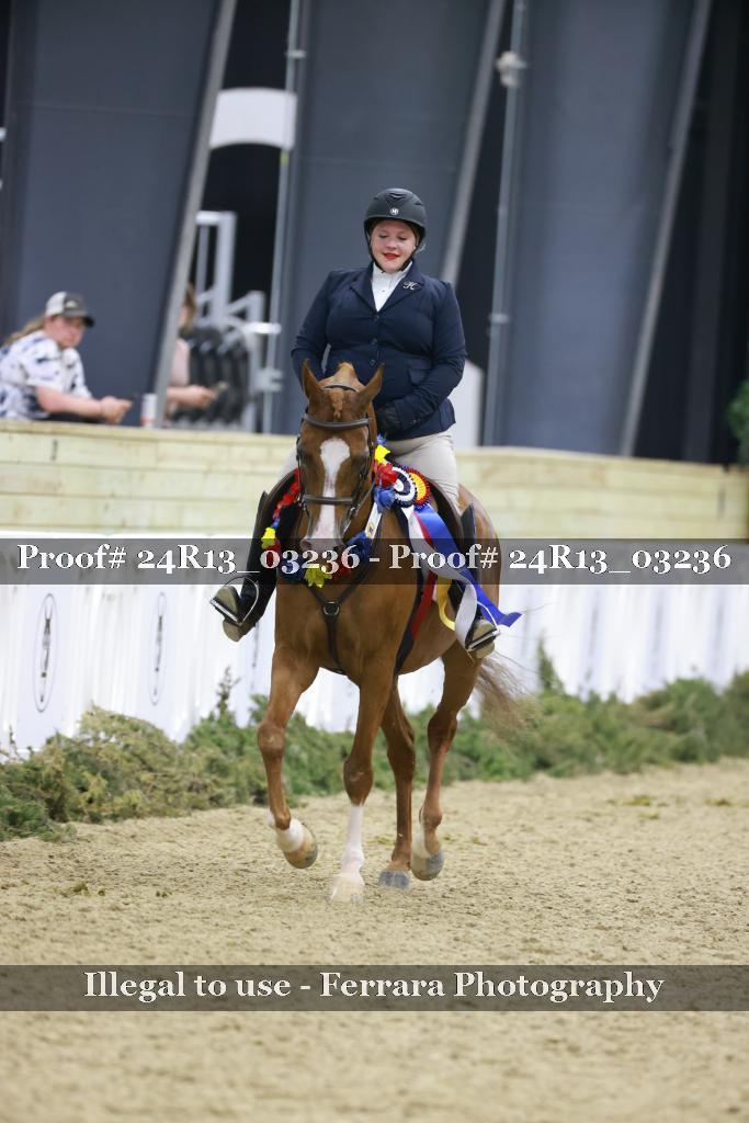 Proof 24R13_03236