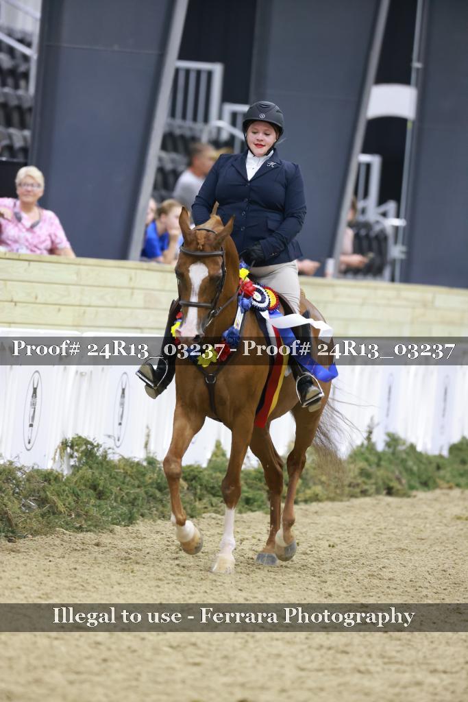 Proof 24R13_03237