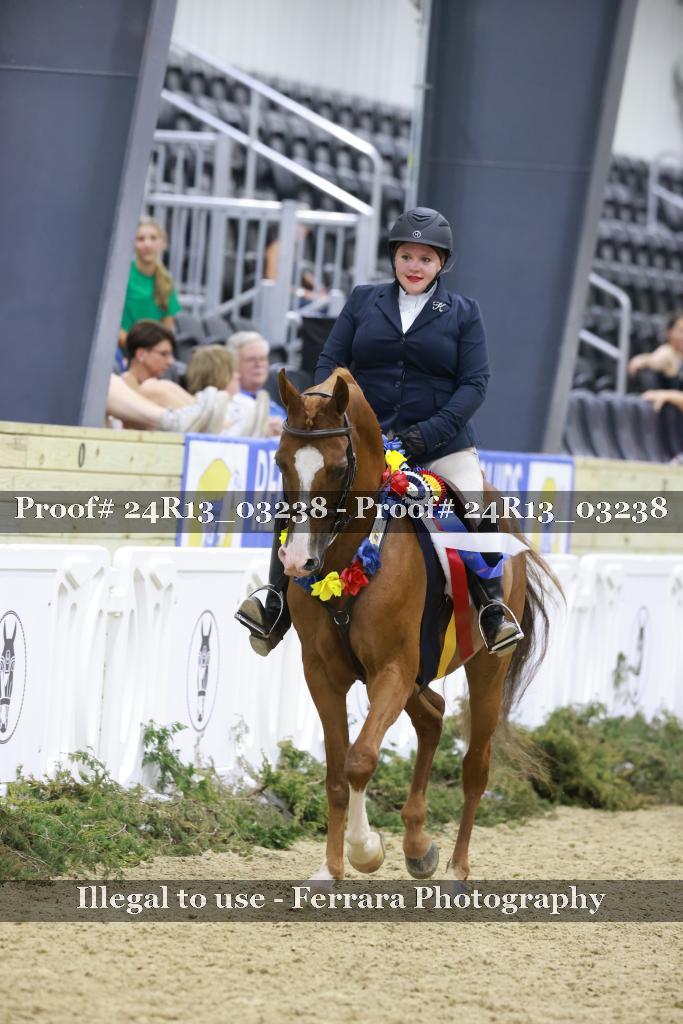 Proof 24R13_03238
