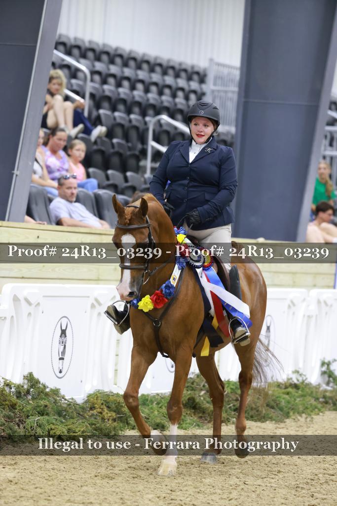 Proof 24R13_03239