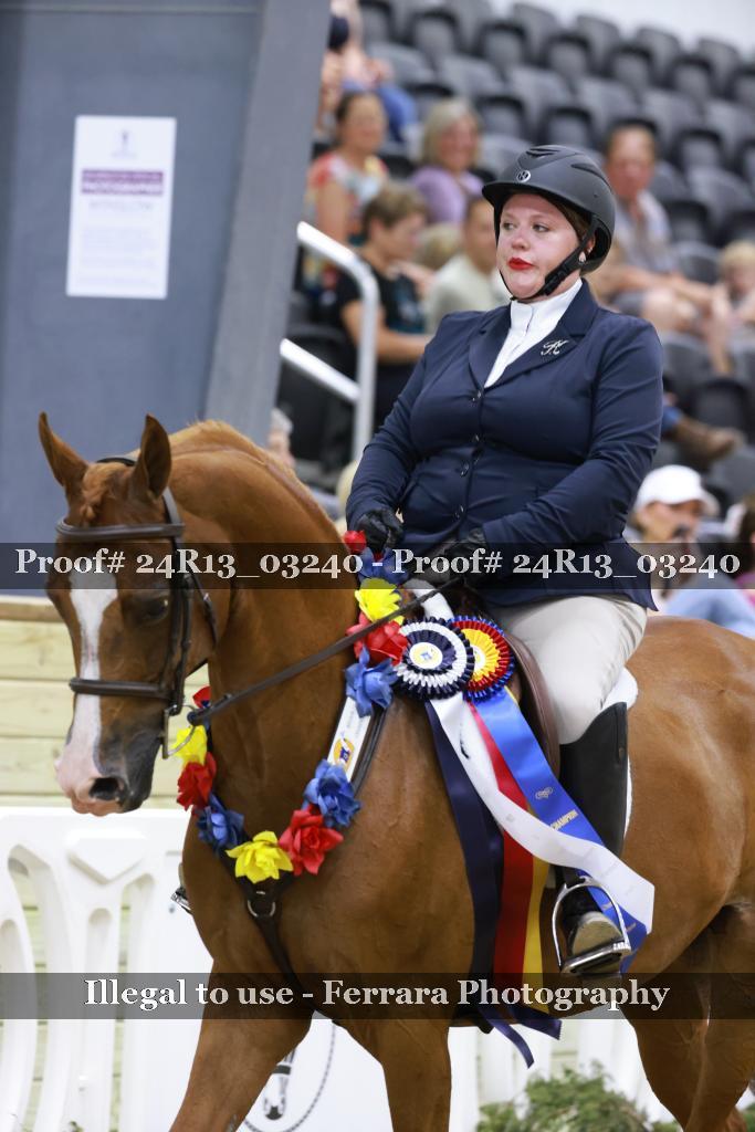 Proof 24R13_03240