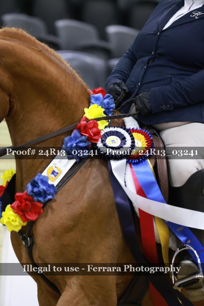 Proof 24R13_03241