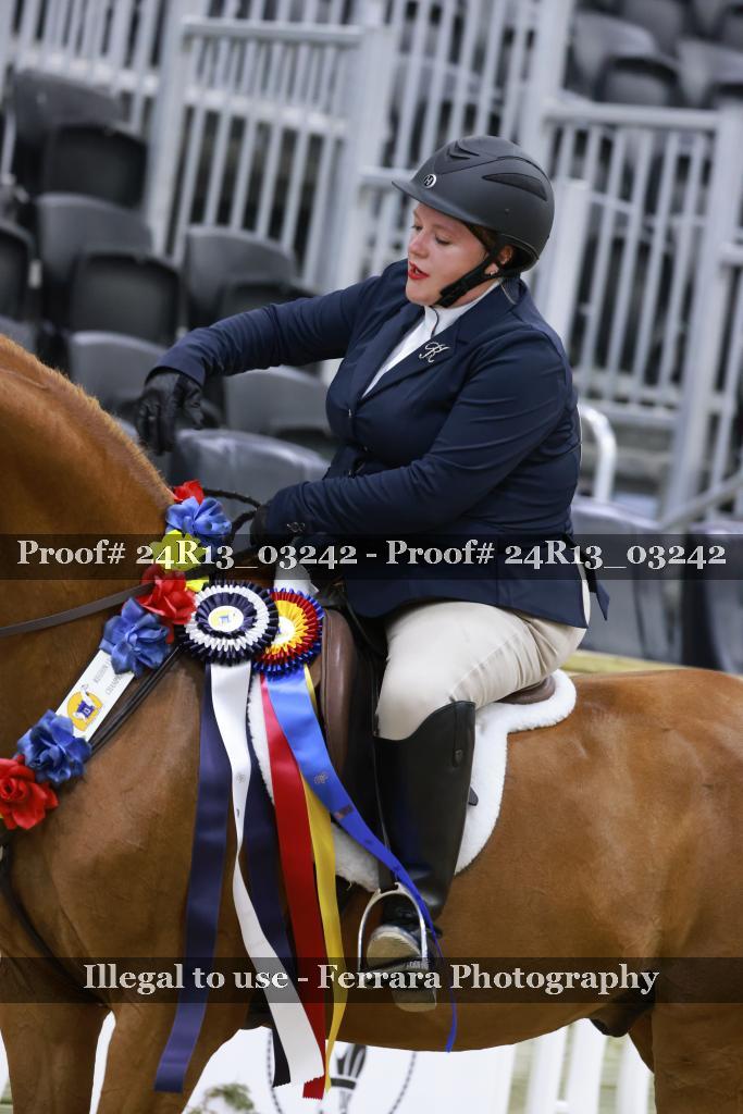 Proof 24R13_03242