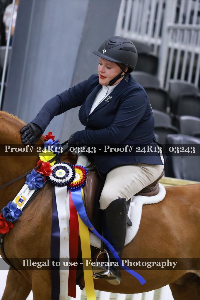 Proof 24R13_03243