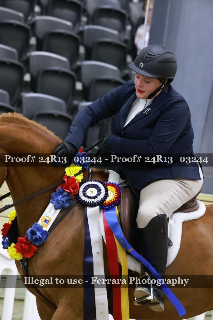 Proof 24R13_03244