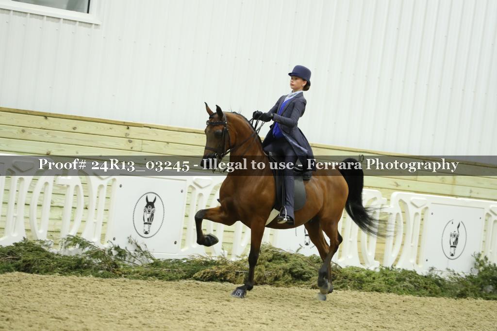 Proof 24R13_03245