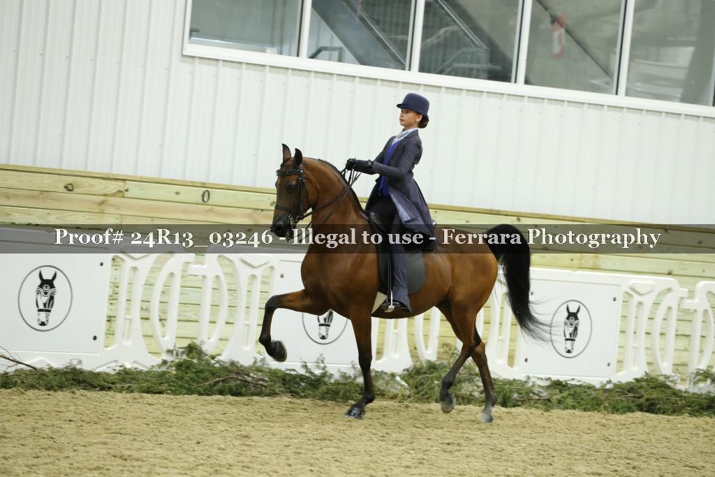Proof 24R13_03246